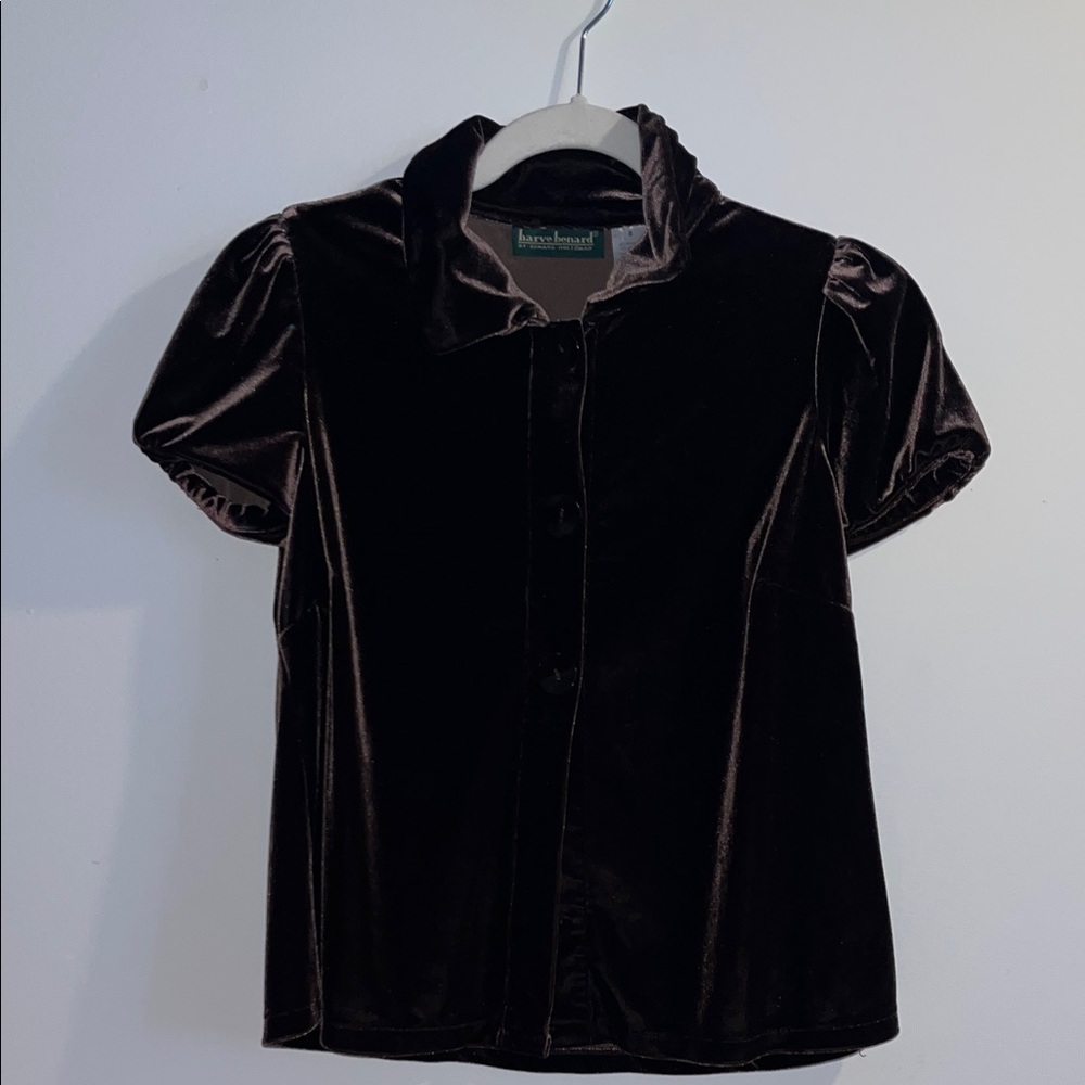 Harve Benard Chocolate Velvet Blouse